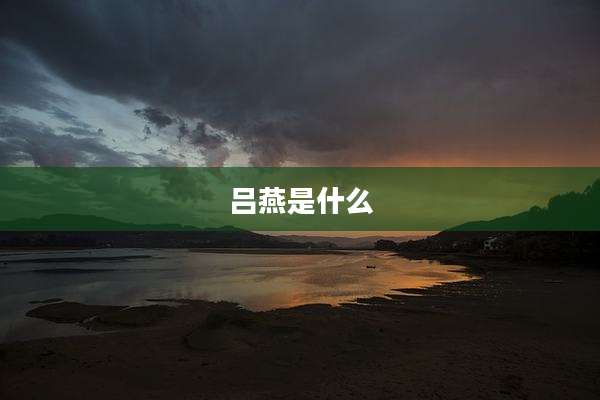 吕燕是什么
