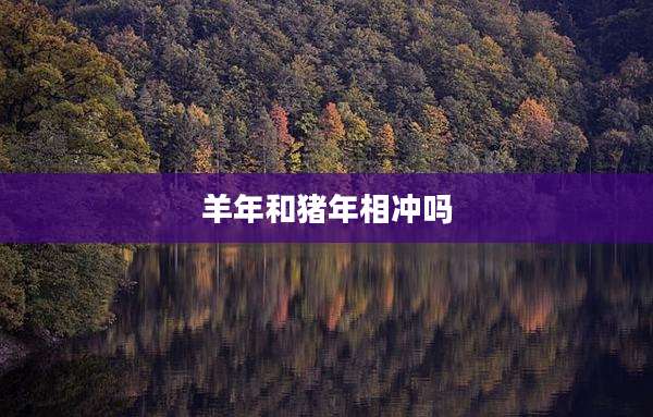 羊年和猪年相冲吗