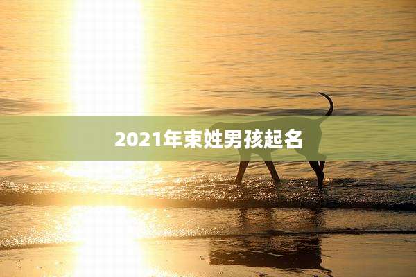 2021年束姓男孩起名