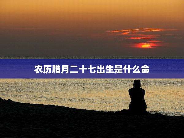 农历腊月二十七出生是什么命
