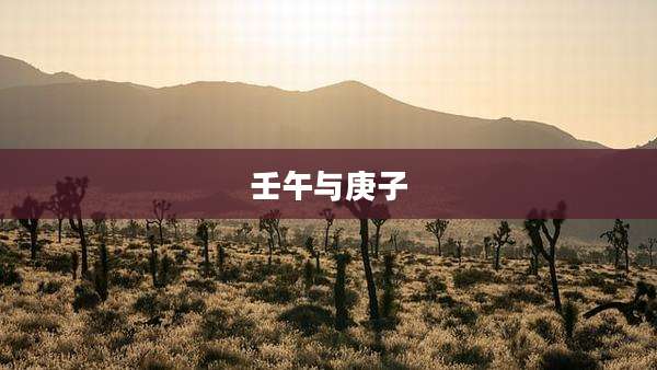 壬午与庚子