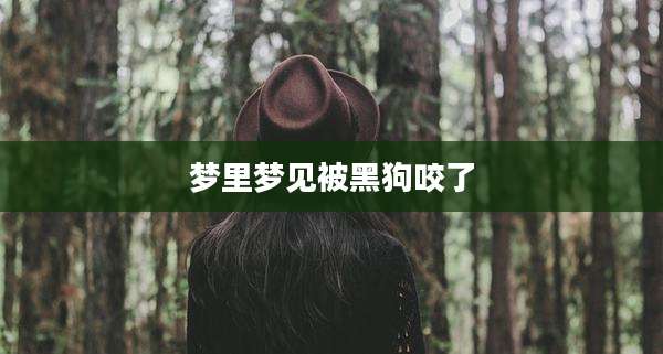 梦里梦见被黑狗咬了