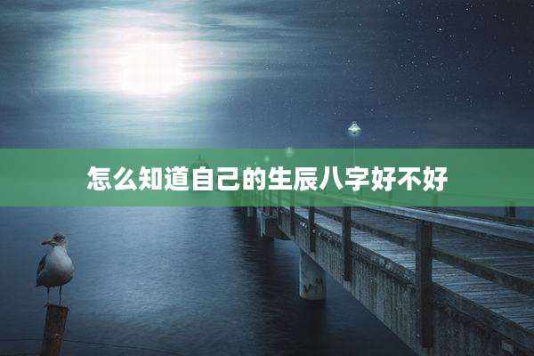 怎么知道自己的生辰八字好不好