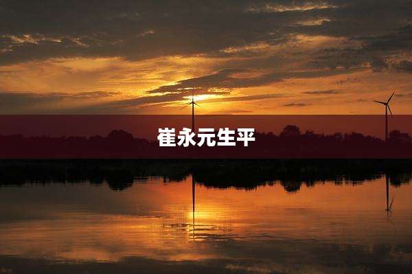 崔永元生平