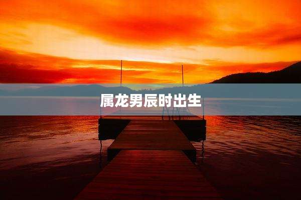 属龙男辰时出生
