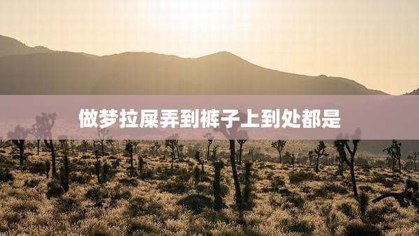 做梦拉屎弄到裤子上到处都是