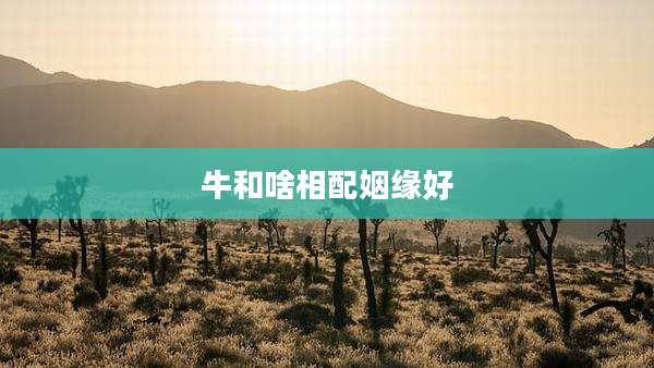 牛和啥相配姻缘好