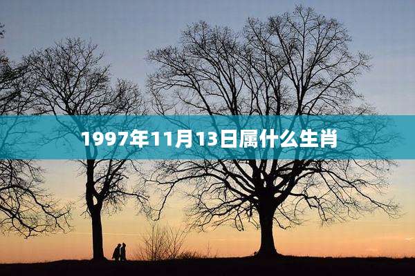 1997年11月13日属什么生肖