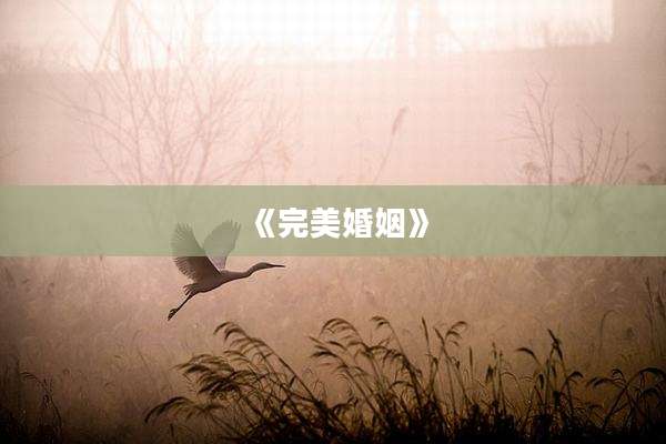 《完美婚姻》