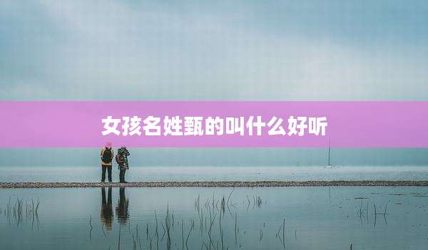 女孩名姓甄的叫什么好听