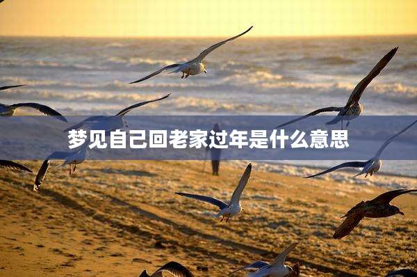 梦见自己回老家过年是什么意思