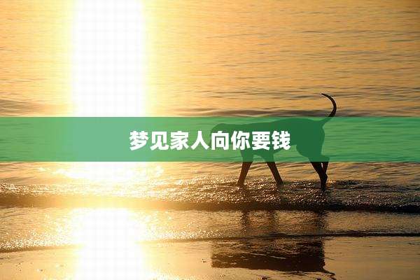 梦见家人向你要钱