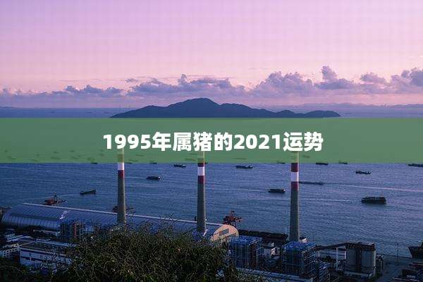 1995年属猪的2021运势