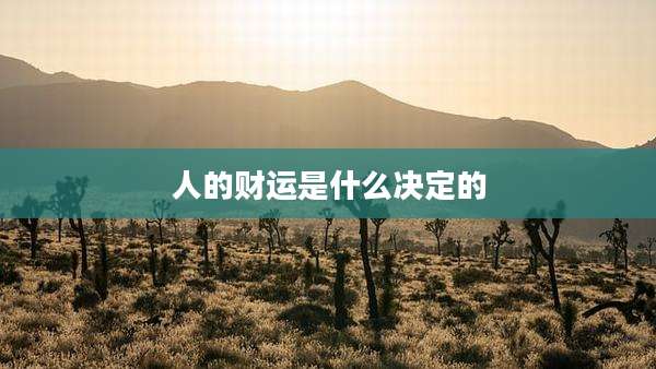 人的财运是什么决定的