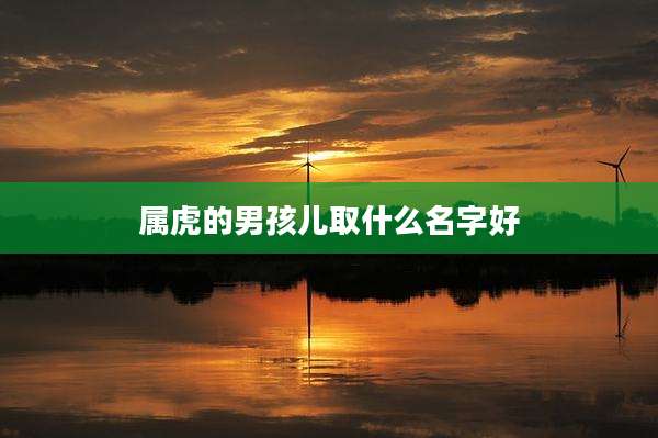 属虎的男孩儿取什么名字好