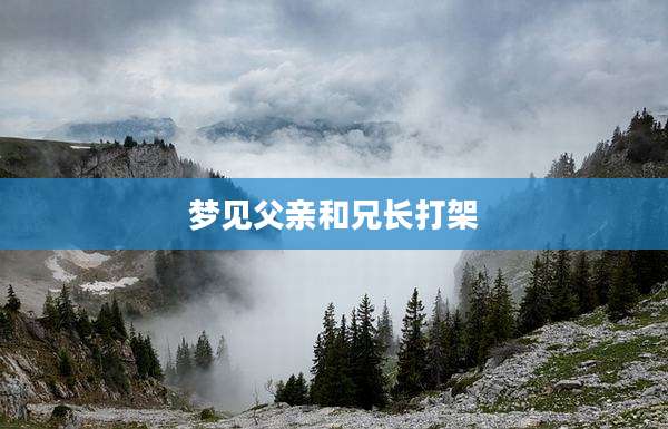 梦见父亲和兄长打架