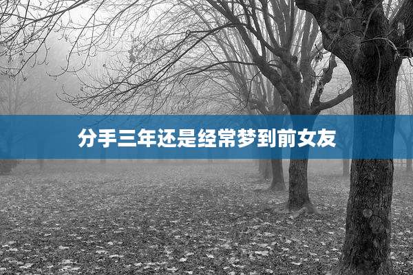 分手三年还是经常梦到前女友