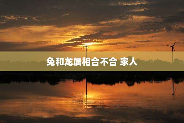 兔和龙属相合不合 家人