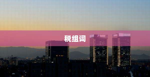 税组词
