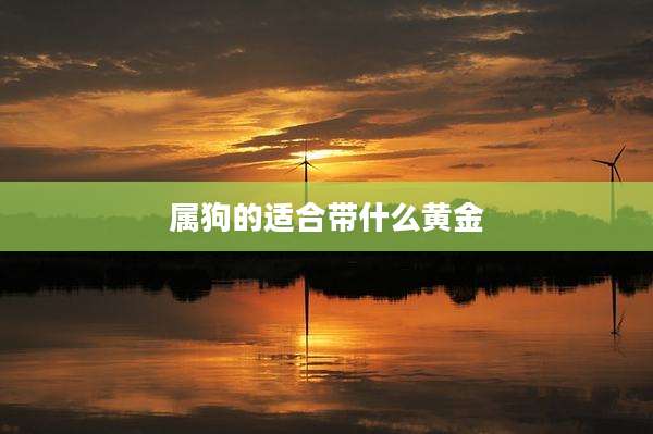 属狗的适合带什么黄金