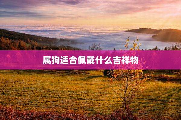 属狗适合佩戴什么吉祥物