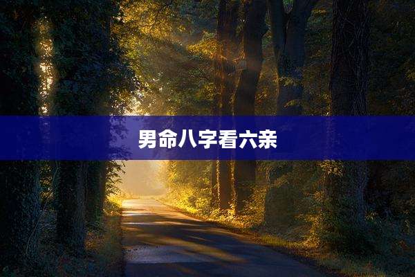 男命八字看六亲