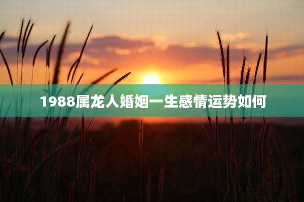 1988属龙人婚姻一生感情运势如何