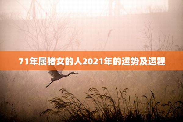 71年属猪女的人2021年的运势及运程
