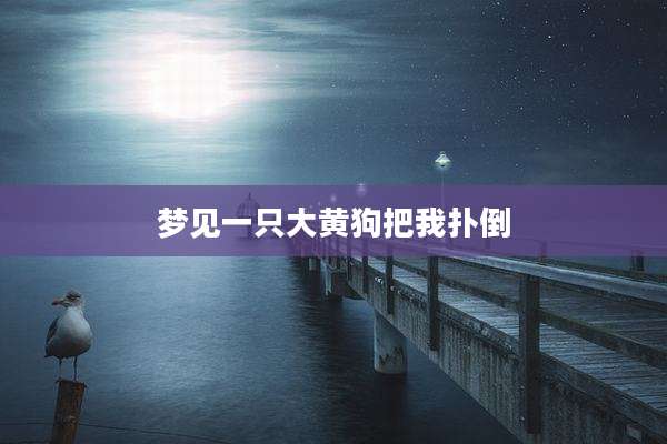 梦见一只大黄狗把我扑倒