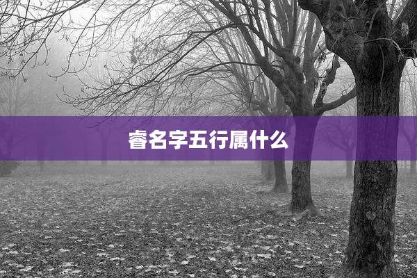 睿名字五行属什么