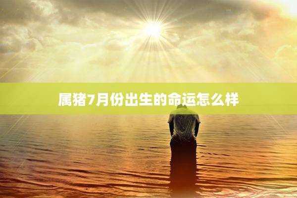 属猪7月份出生的命运怎么样