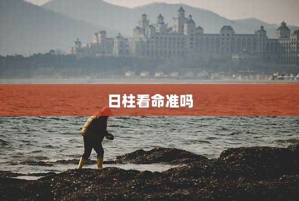 日柱看命准吗