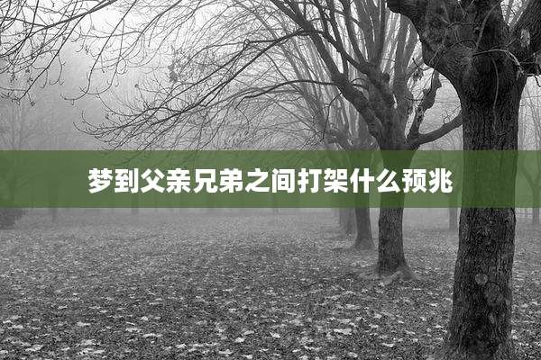 梦到父亲兄弟之间打架什么预兆