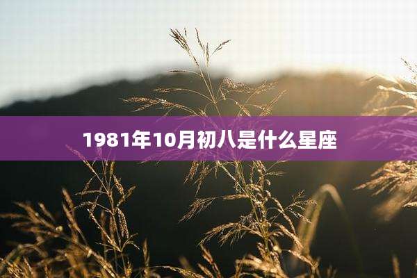 1981年10月初八是什么星座