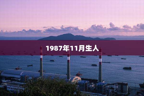 1987年11月生人