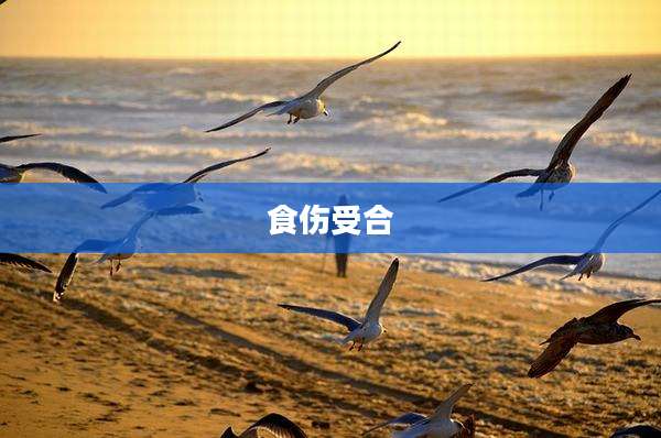 食伤受合