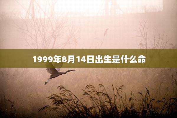 1999年8月14日出生是什么命