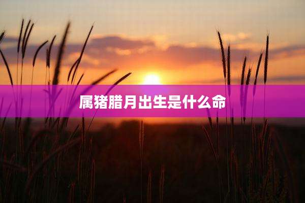 属猪腊月出生是什么命