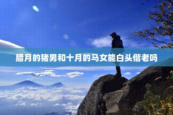 腊月的猪男和十月的马女能白头偕老吗