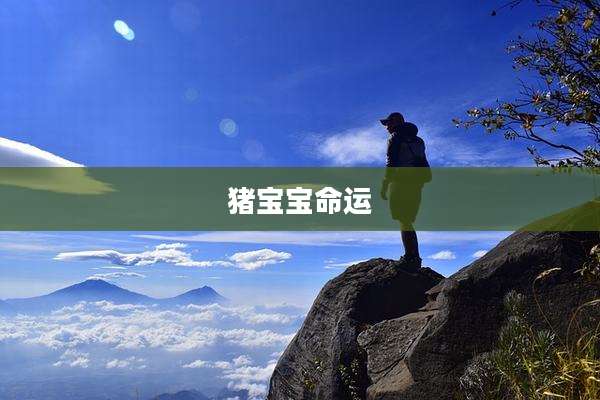 猪宝宝命运