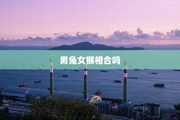 男兔女猴相合吗