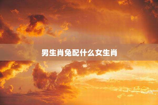 男生肖兔配什么女生肖