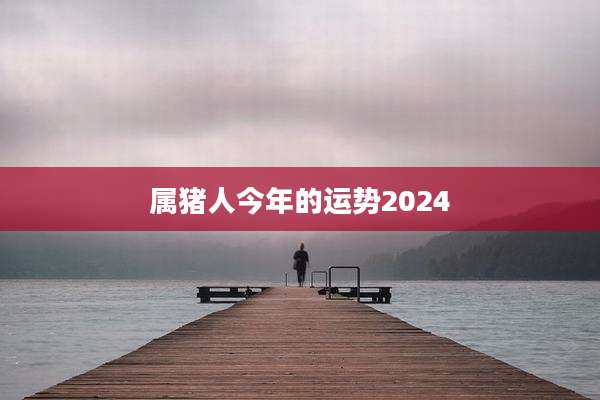 属猪人今年的运势2024