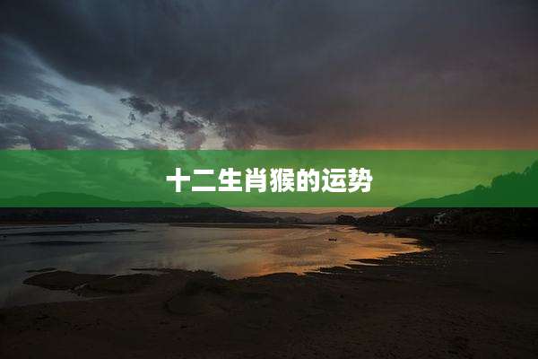 十二生肖猴的运势