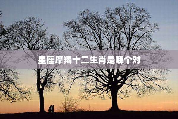 星座摩羯十二生肖是哪个对