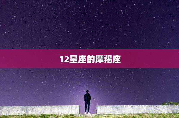 12星座的摩羯座