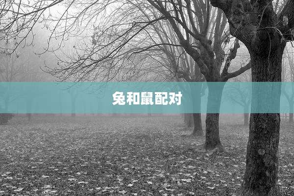 兔和鼠配对