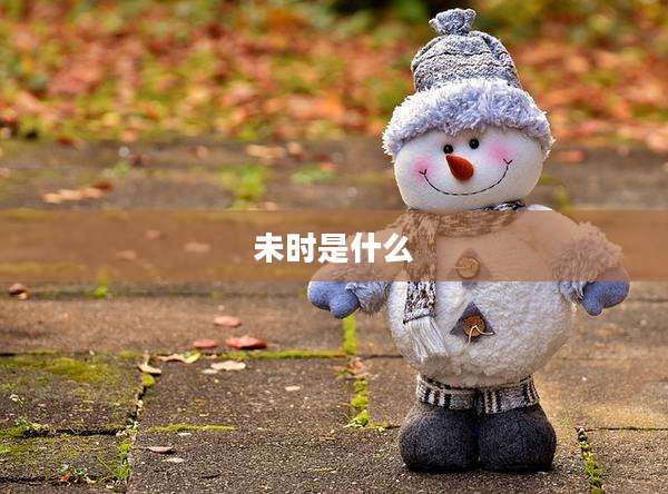 未时是什么