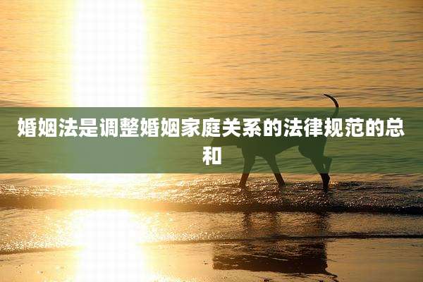 婚姻法是调整婚姻家庭关系的法律规范的总和