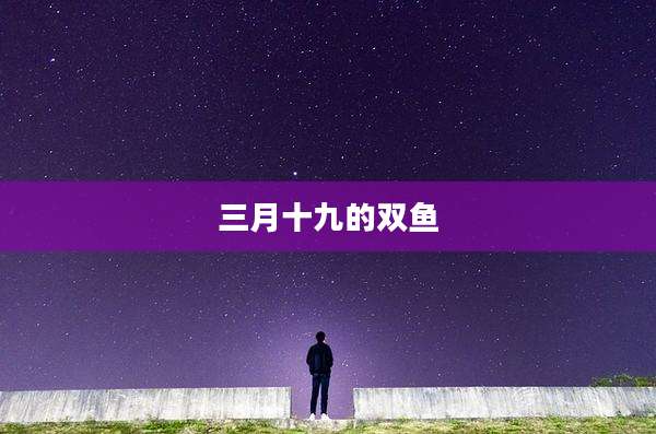 三月十九的双鱼